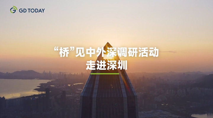 为何外商外资都看好大湾区？“桥”见中外在深圳探秘