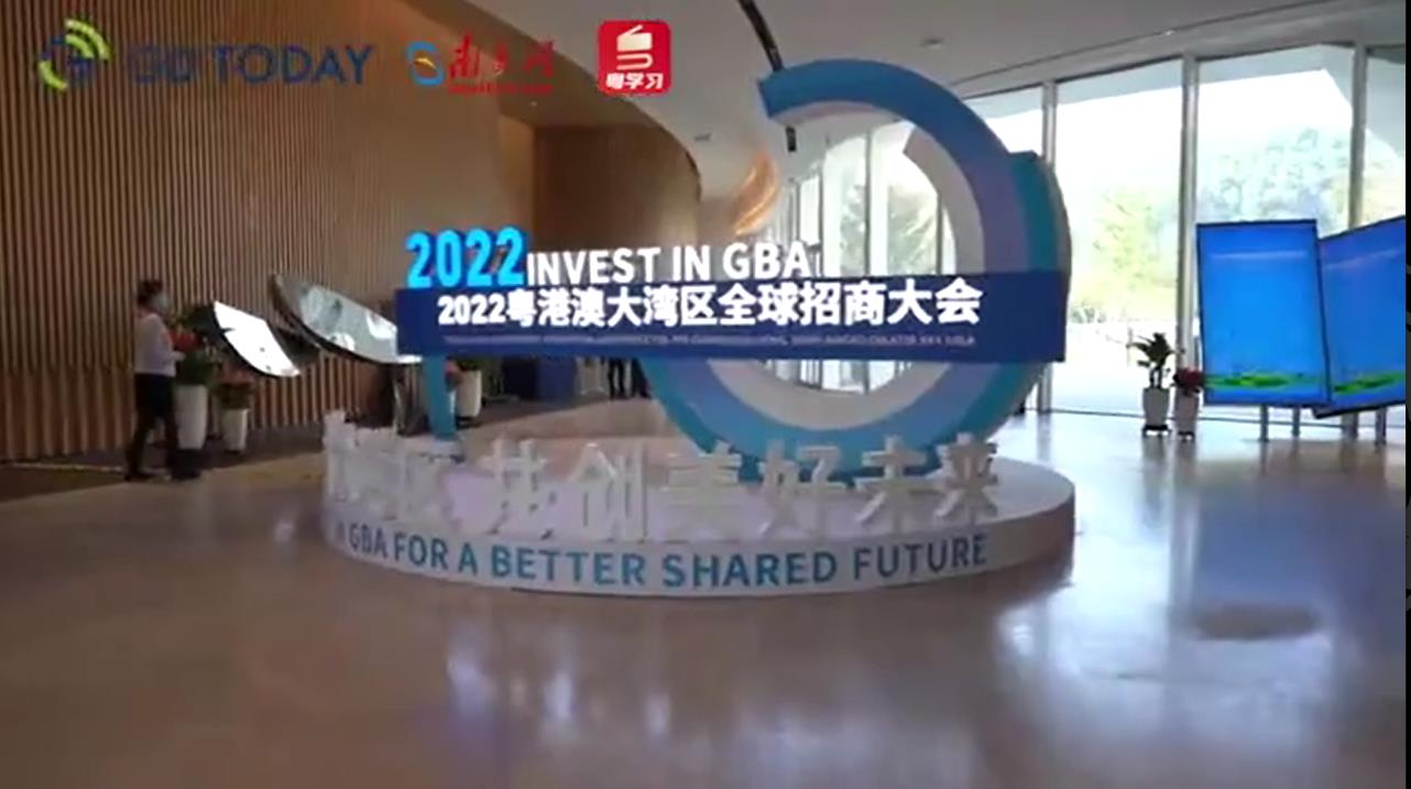 投资大湾区！听听跨国企业怎么看大湾区发展机遇