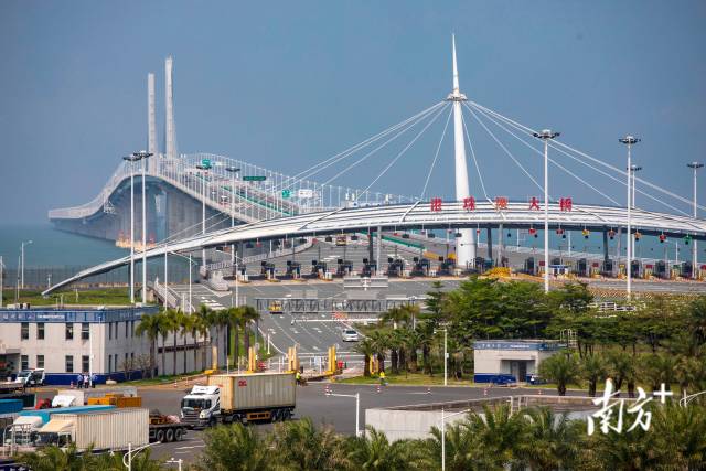 港车通过港珠澳大桥珠海公路口岸驶入广东，香洲区是“港车北上”、“澳车北上”的首站。南方+记者 钱文攀 摄