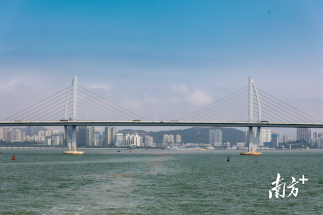 港珠澳大桥与香洲区遥相呼应。南方+记者 钱文攀摄