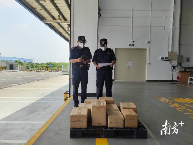黄埔海关所属沙田海关关员对经东莞—香港国际空港中心进口货物进行监管。摄影：石磊 濮宣