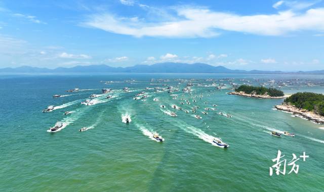 随着现代化海洋牧场建设的深入推进，广东“蓝色粮仓”越建越丰实，“大食物观”之路越蹚越敞亮。2023年以来，广东14个沿海地市已开工现代化海洋牧场项目90个、总投资额202亿元。