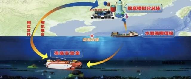 冷泉生态系统研究装置三个分总体布局。资料图片