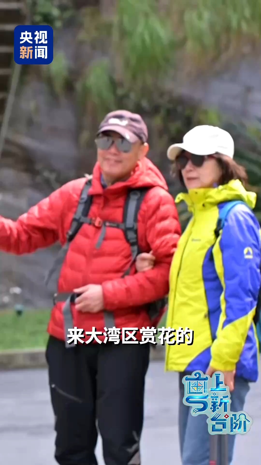 一趟由北向南开行的列车同时“惊动”了京津冀和粤港澳大湾区两大经济圈。