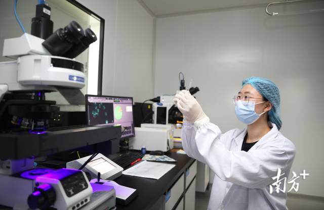 横琴粤澳深度合作区一企业实验室。关铭荣 摄